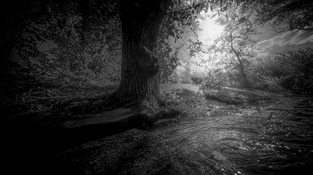 Photograph by Анатолий Коряк