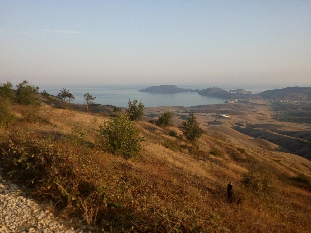 Photograph by Диана Потапова