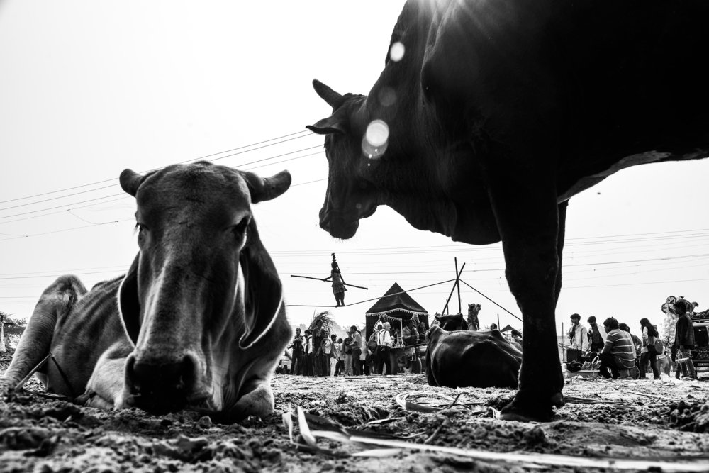 Photograph by Nihal Kumar