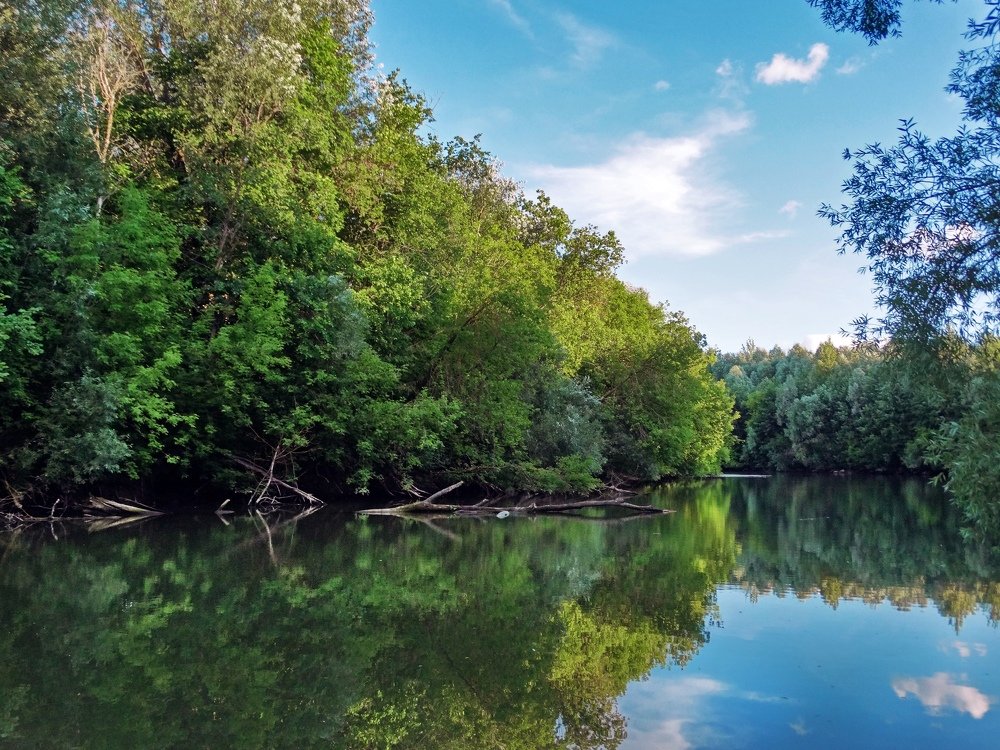 Photograph by Екатерина