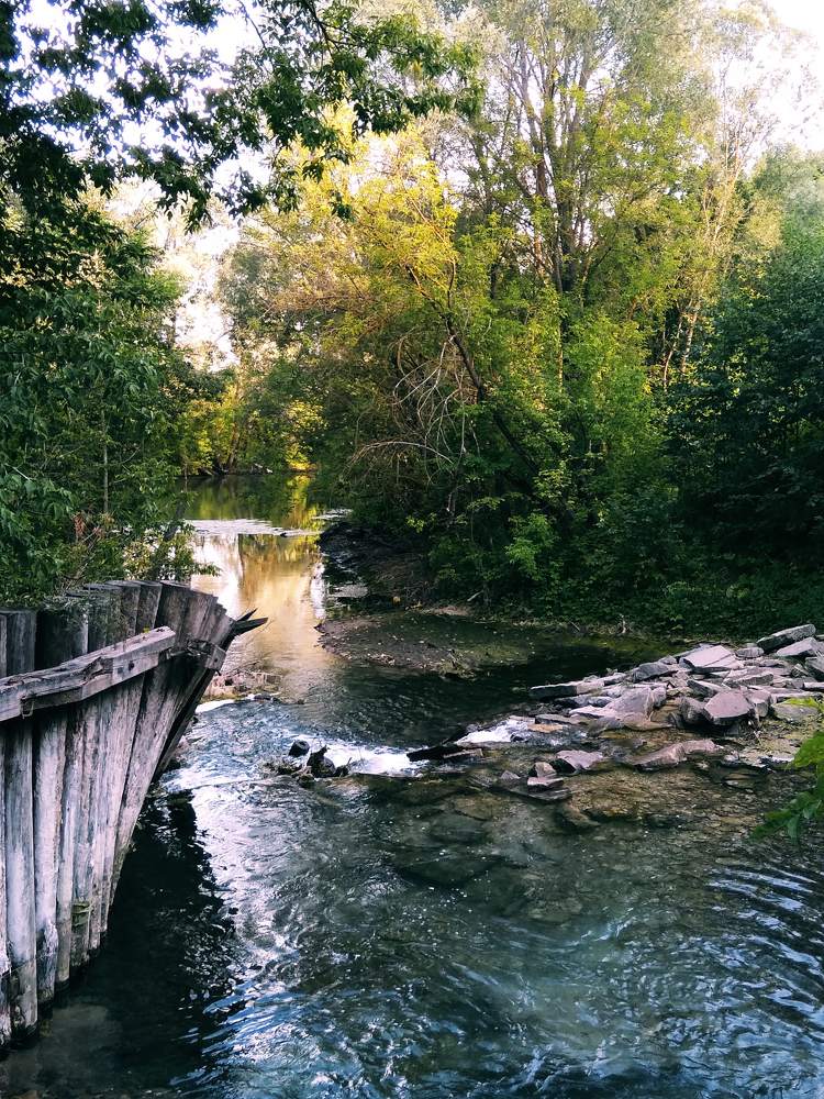 Photograph by Екатерина