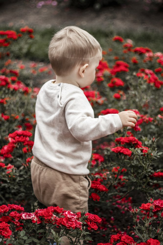 Photograph by Sandra Ko