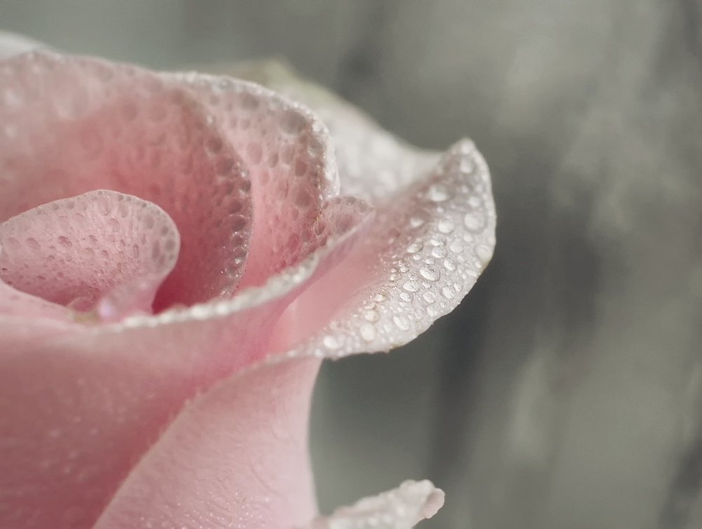 Photograph by Алена Яцун