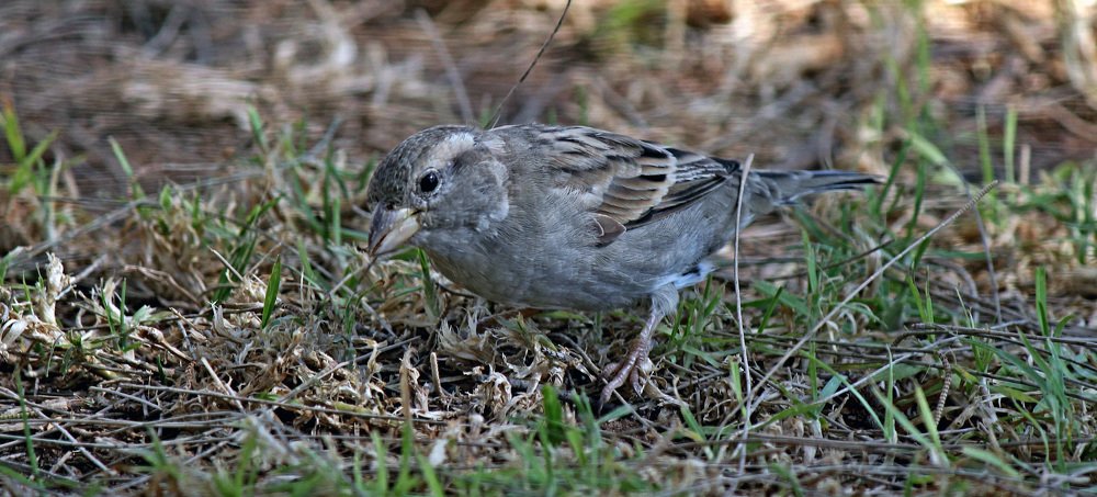 Photograph by Александр Бугаенко