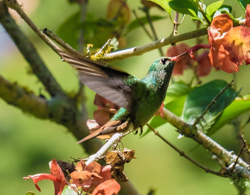 Photograph by Mónica Castaño