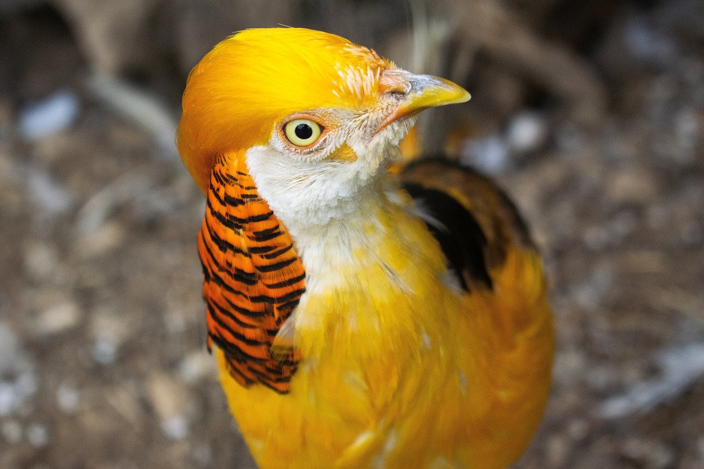 Photograph by Виктор Бурмистров