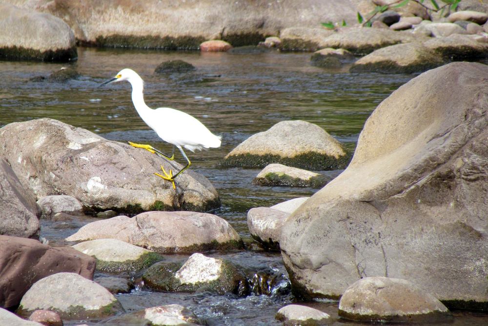 Photograph by Jose da