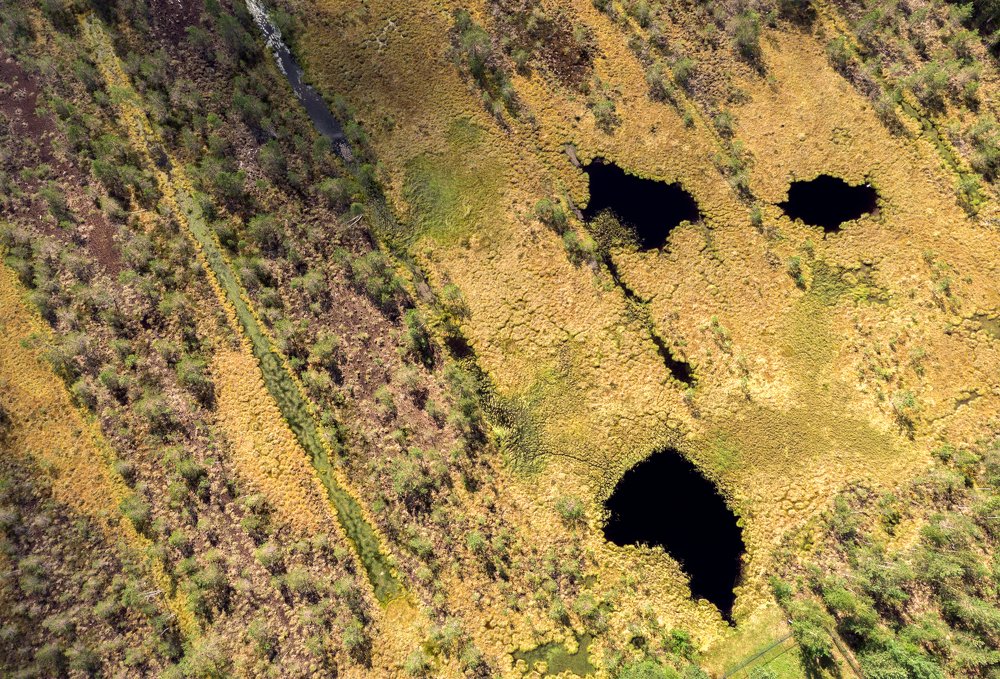 Photograph by Рут Андрей