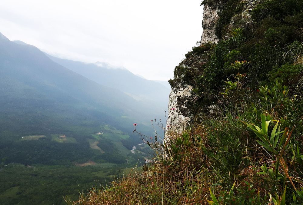 Photograph by Jose da