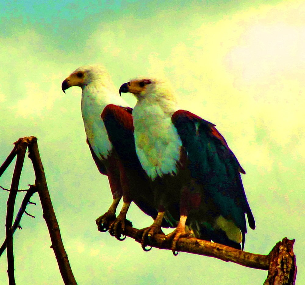 Photograph by Белокопытов Олег Николаевич