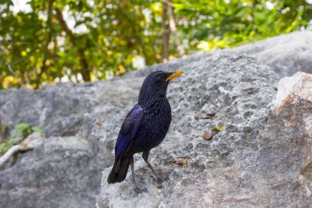 Photograph by Филиппов Олег