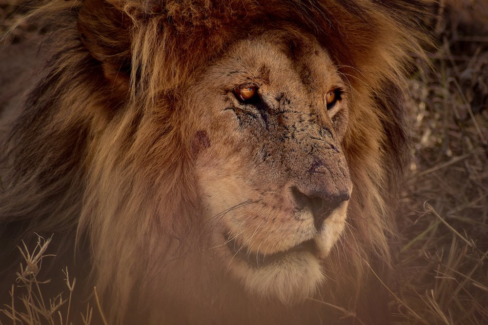 Photograph by Stefano Astorri