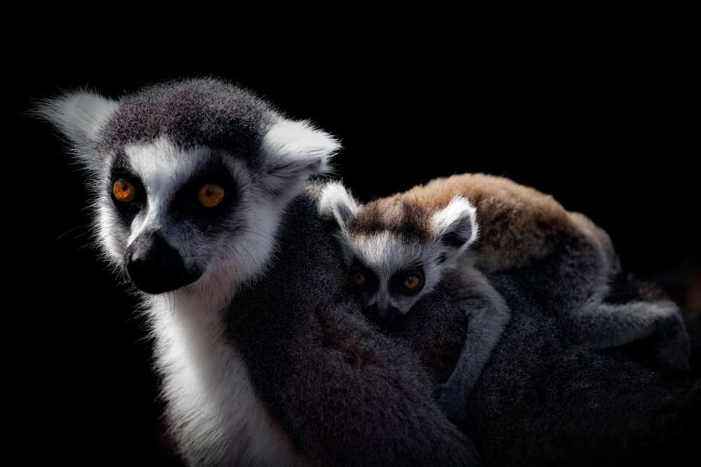 Photograph by Stefano Astorri