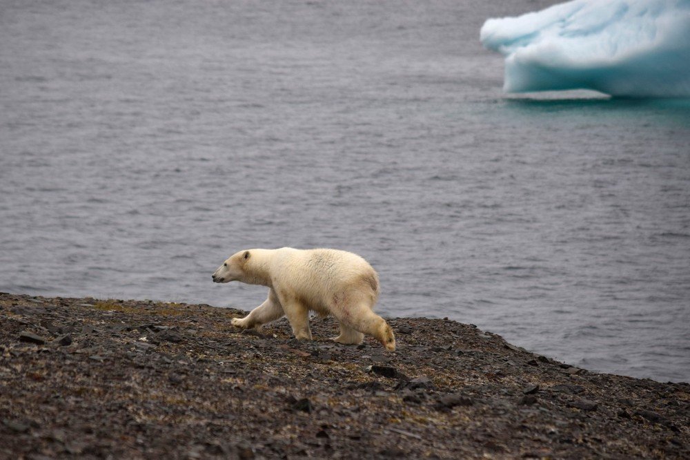 Photograph by Алексей Логинов