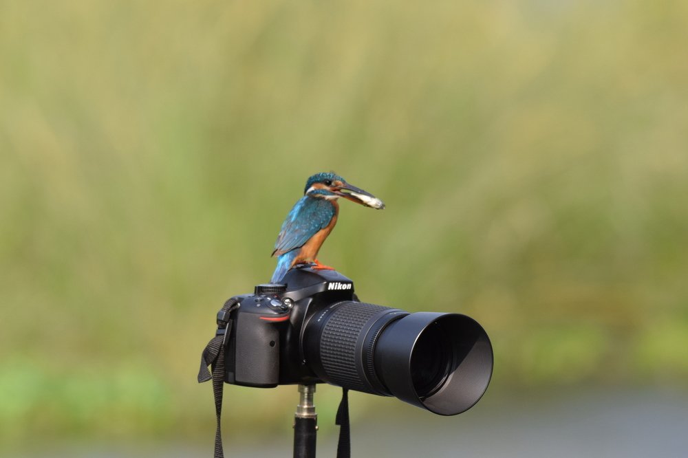 Photograph by Haseebuddin Siddique