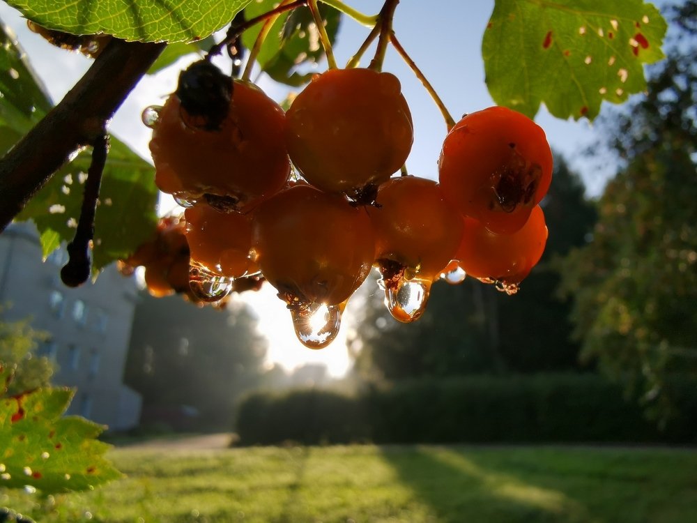 Photograph by Александр Разумов