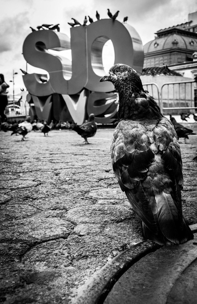 Photograph by Jason Danford