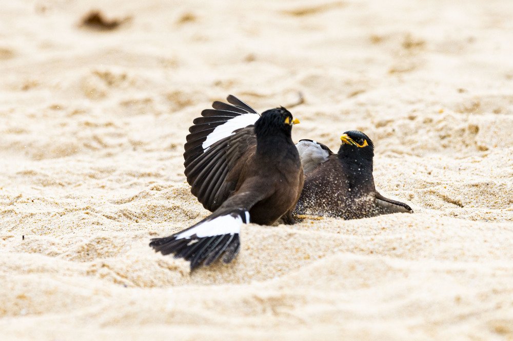 Photograph by ИРЕНА Федорова