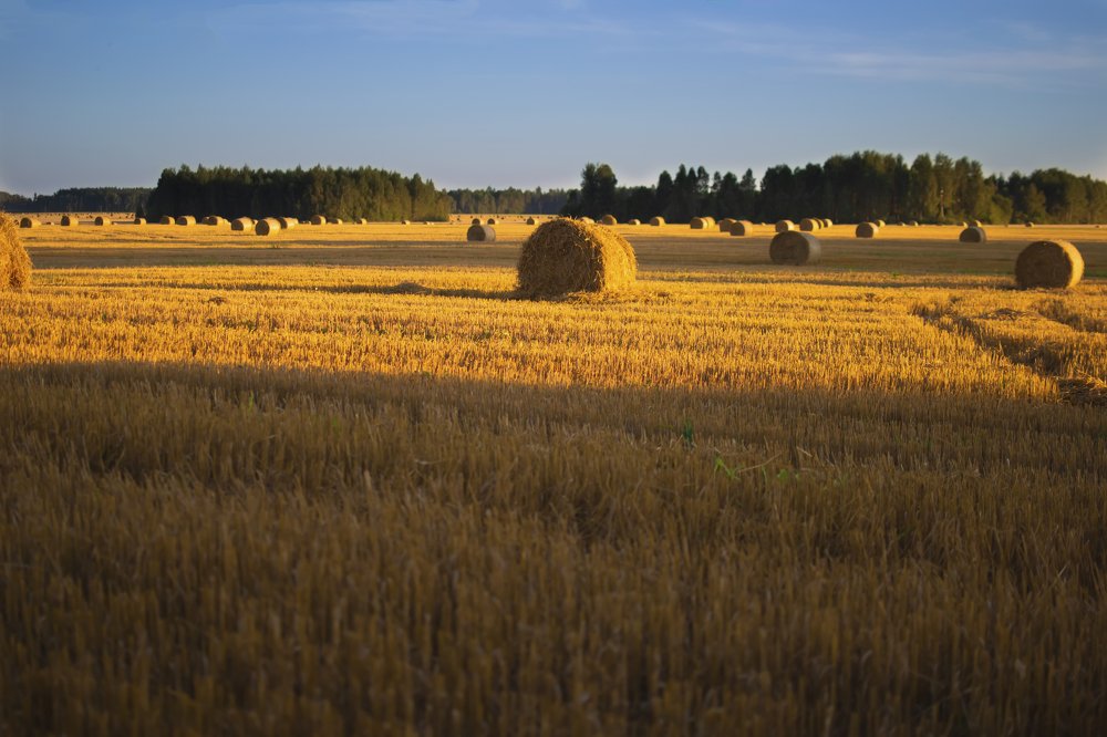 Photograph by Наталья Трусова