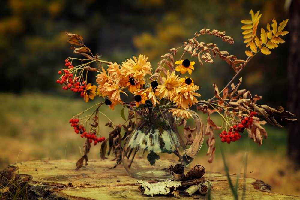 Photograph by Olga Tairova