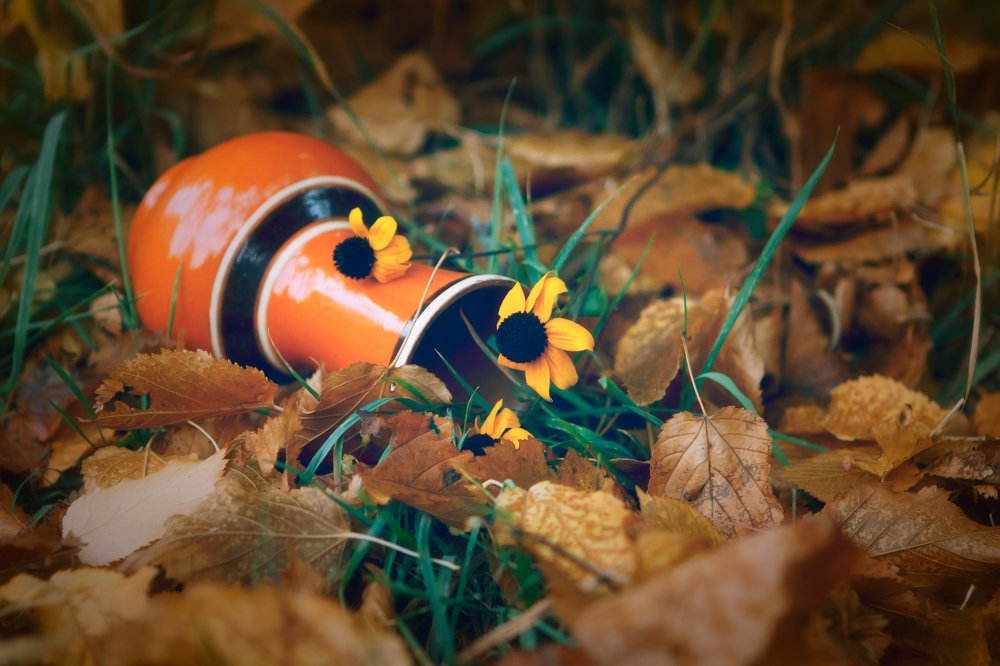 Photograph by Olga Tairova