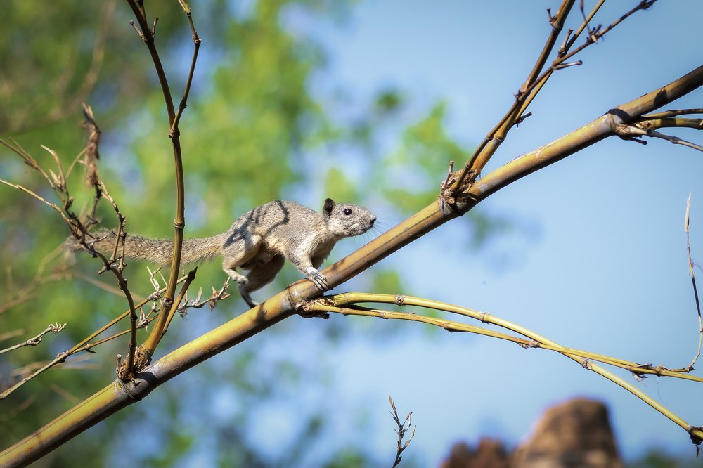 Photograph by Thet Maw