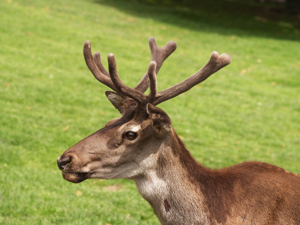 Photograph by Abdolreza Aleagha