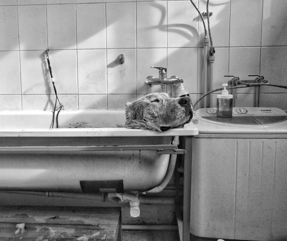 Немного любви