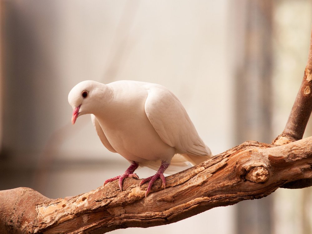 Photograph by Abdolreza Aleagha