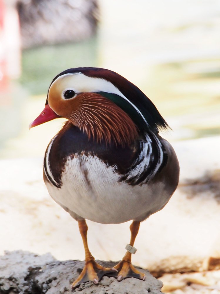 Photograph by Abdolreza Aleagha