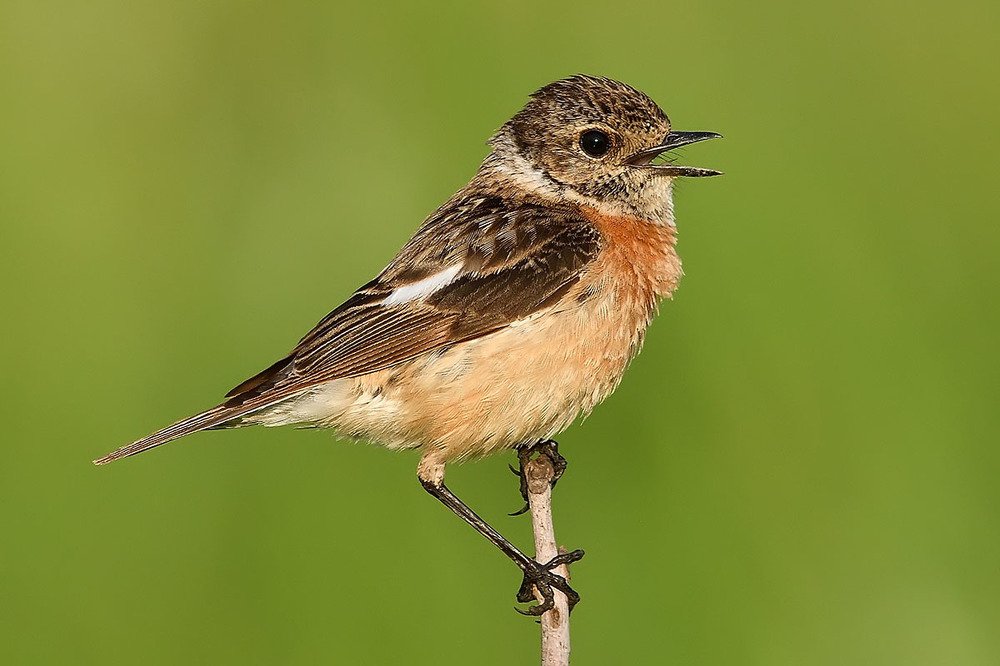 Photograph by Вячеслав Ладанов