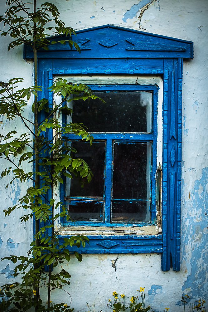 Photograph by Veronika Koneva