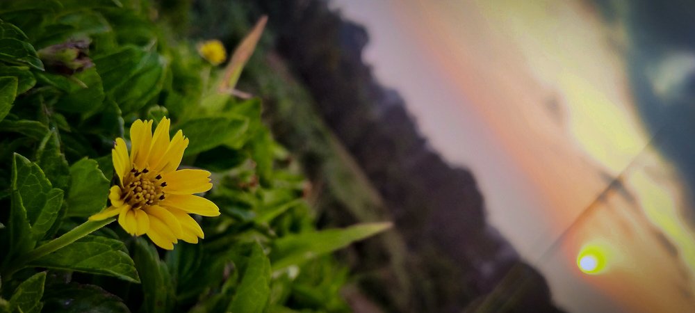 Photograph by Suhrab