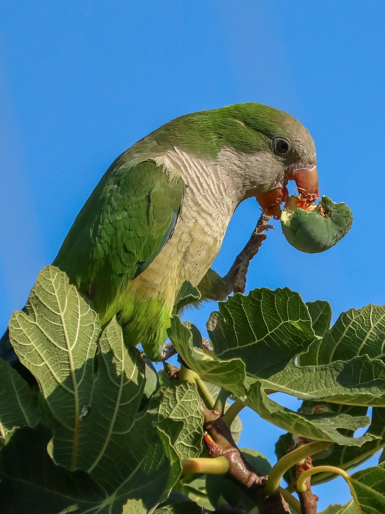 Photograph by Георгий Акопджанов