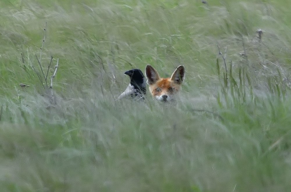 Photograph by Вячеслав Ладанов