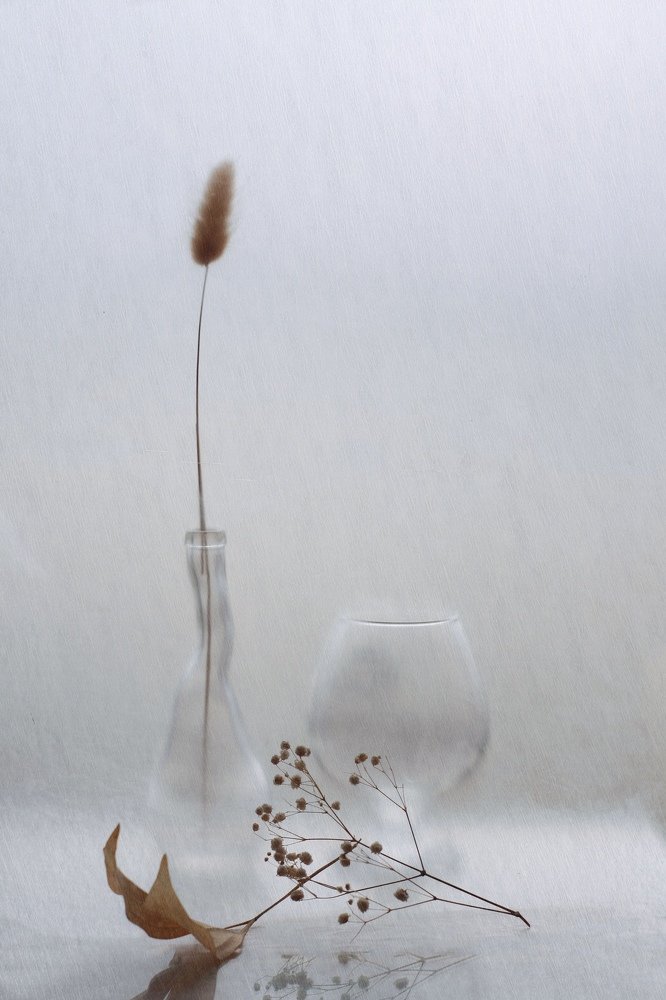 Photograph by Анастасия Чепурнова