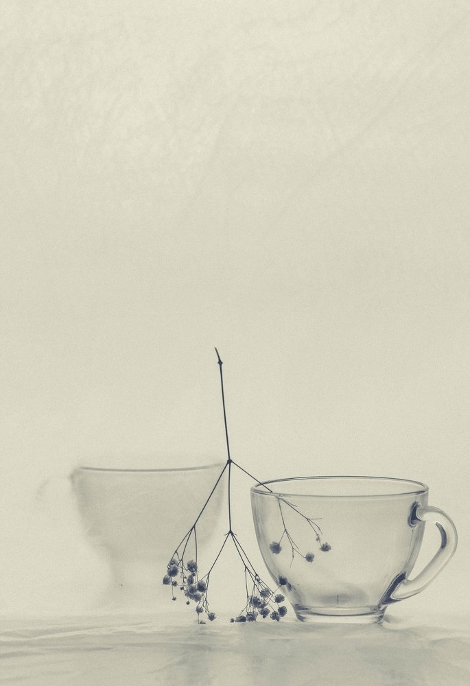 Photograph by Анастасия Чепурнова