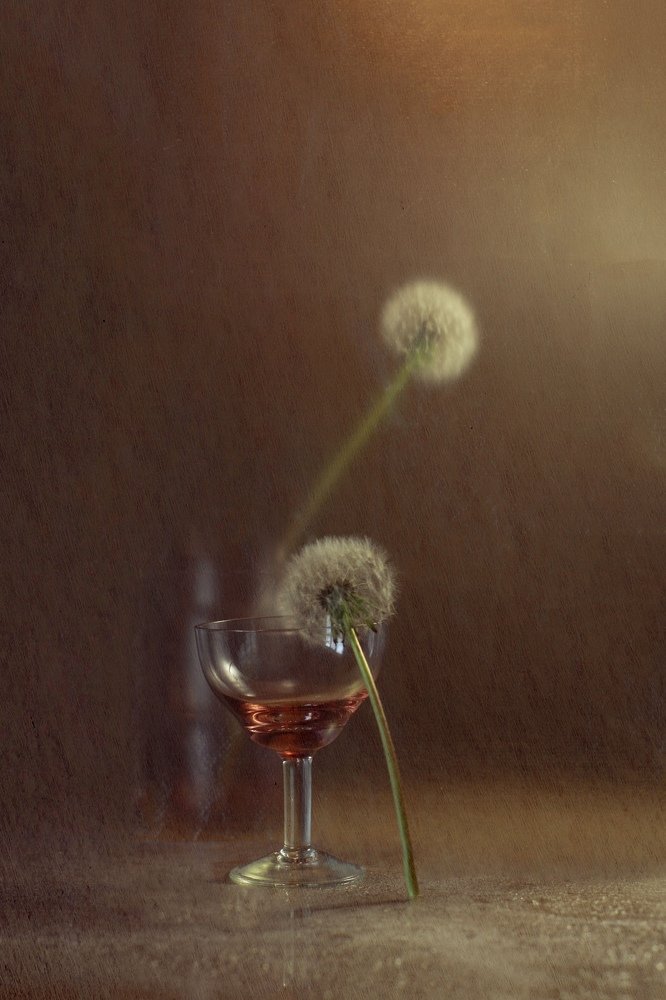 Photograph by Анастасия Чепурнова