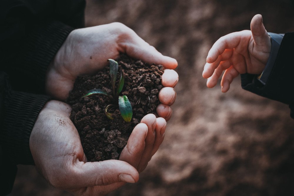 Photograph by Анастасия Чепурнова