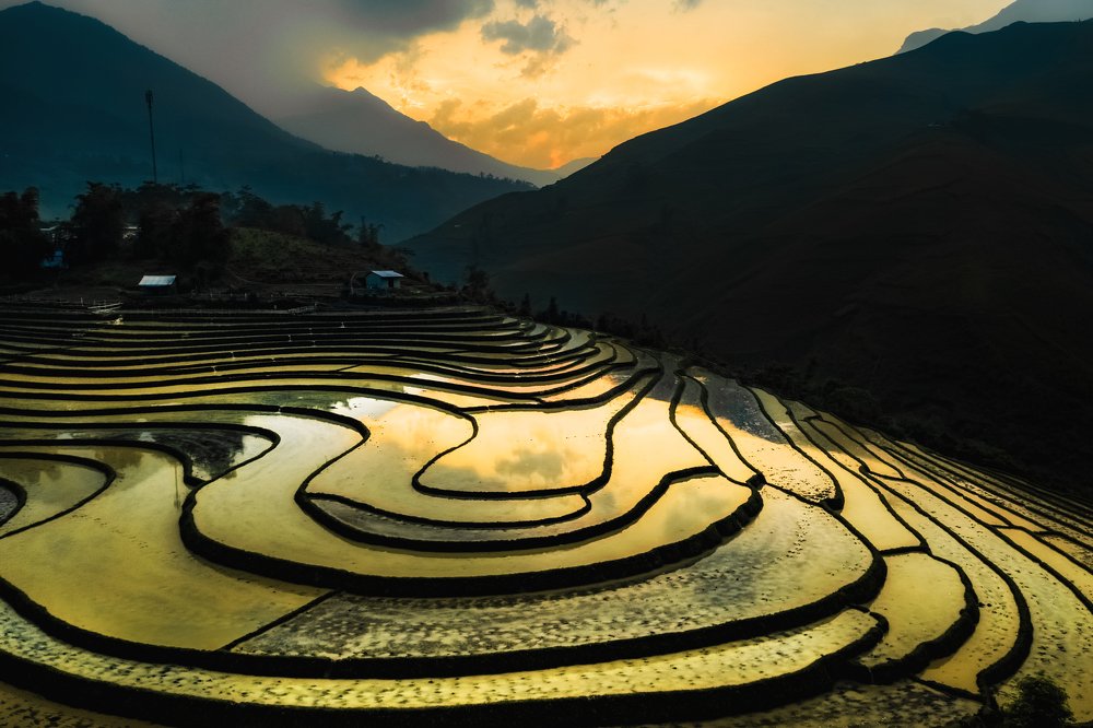 Water poured in the rice field-Sàng Ma Sáo-Việt Nam