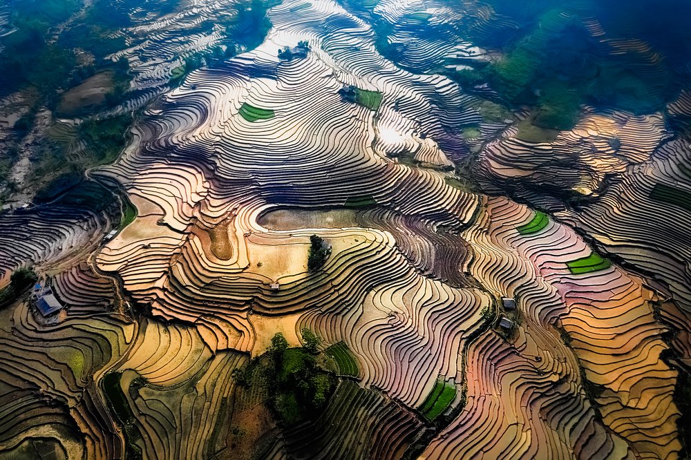 Water poured in the rice field-Sàng Ma Sáo-Việt Nam
