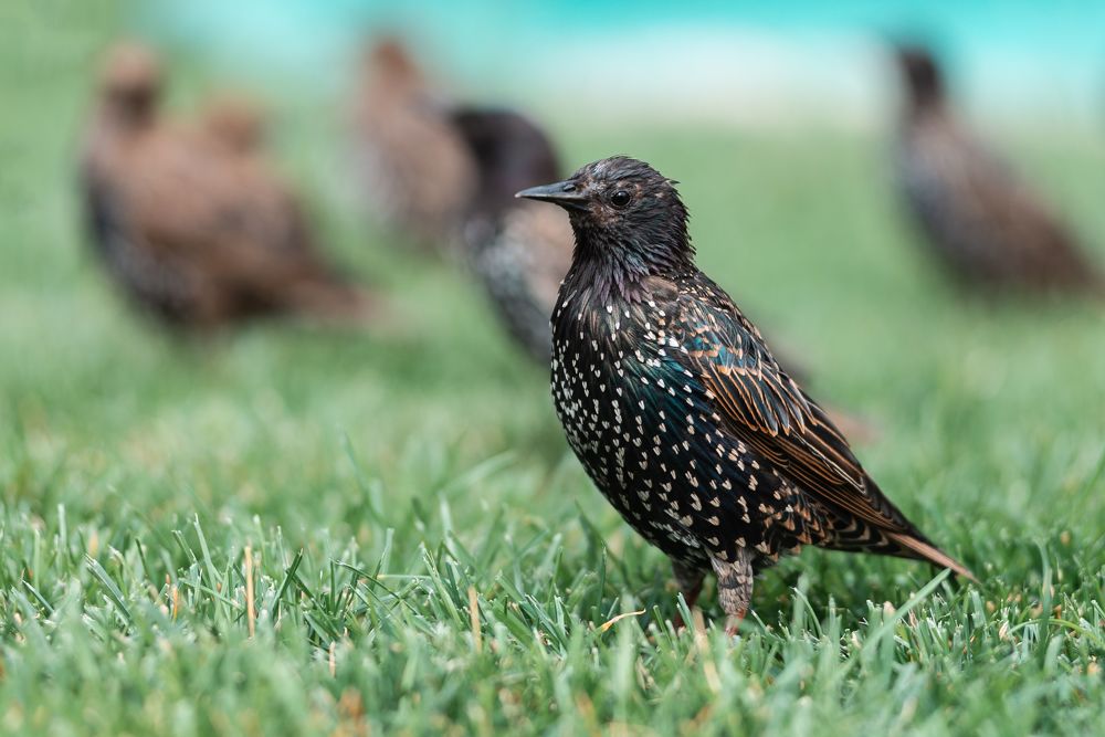 Photograph by Илькин Салимов