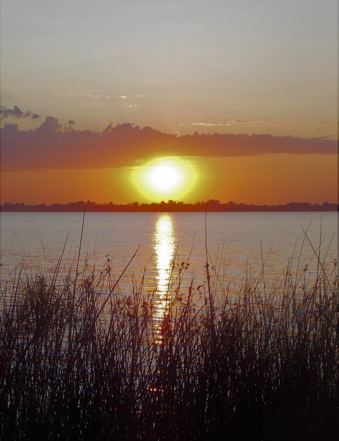 Photo #4856745