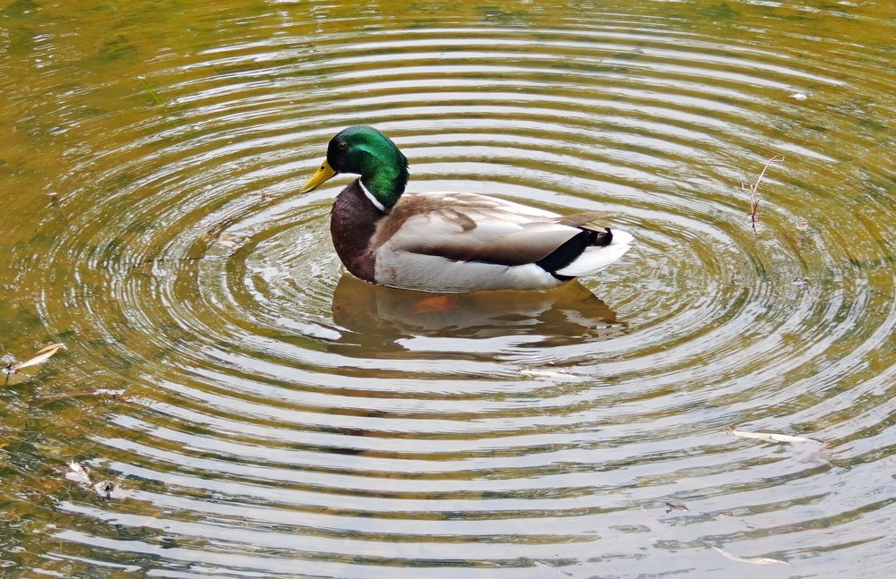 В центре мишени