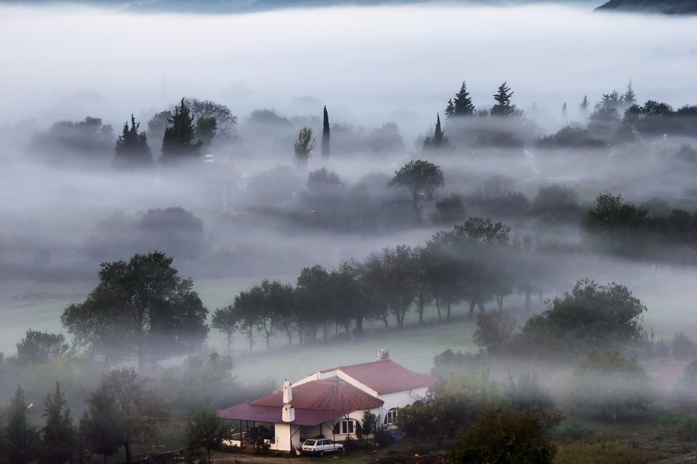 Photograph by Atilla Tuncer