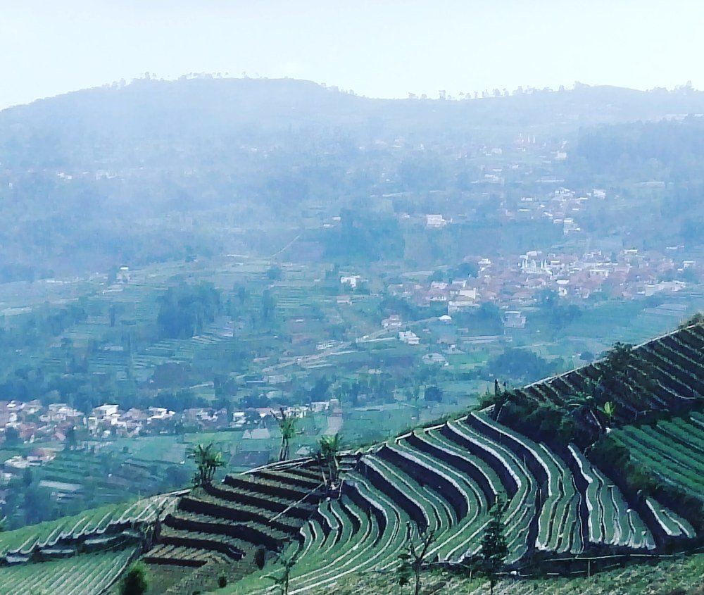 Photograph by Jaya Bistara