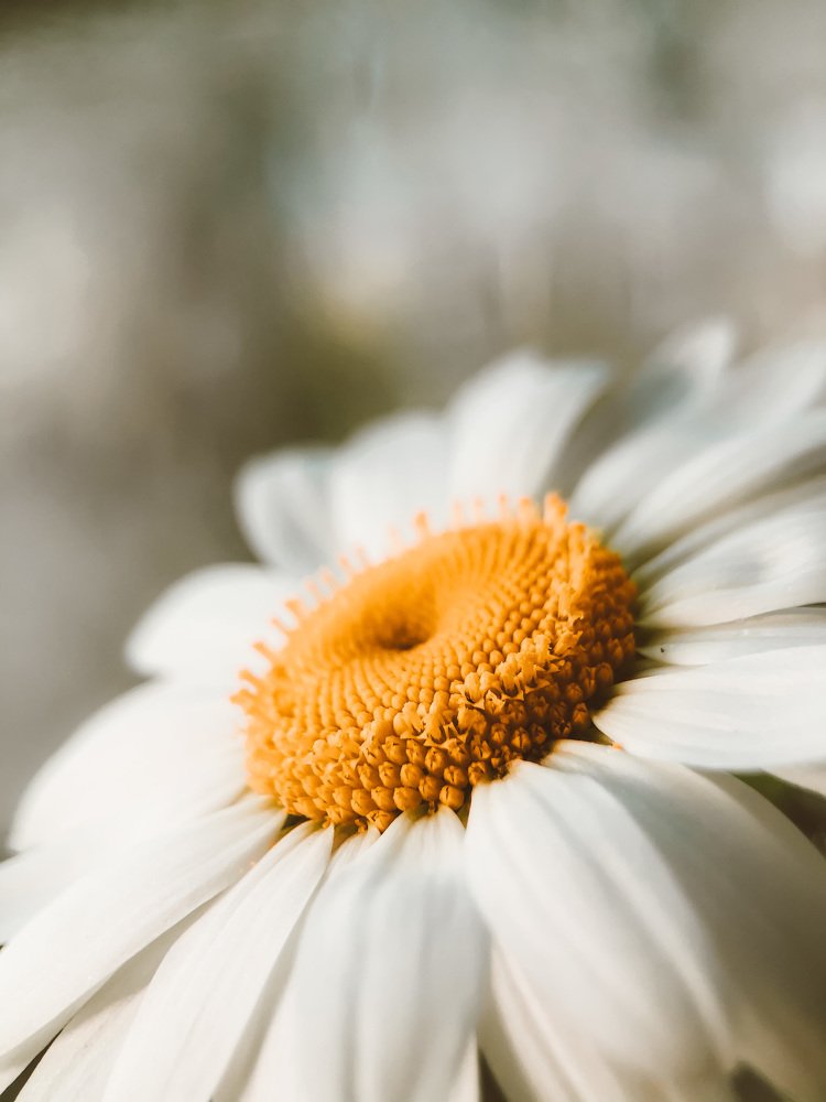 Photograph by Татьяна Левашова