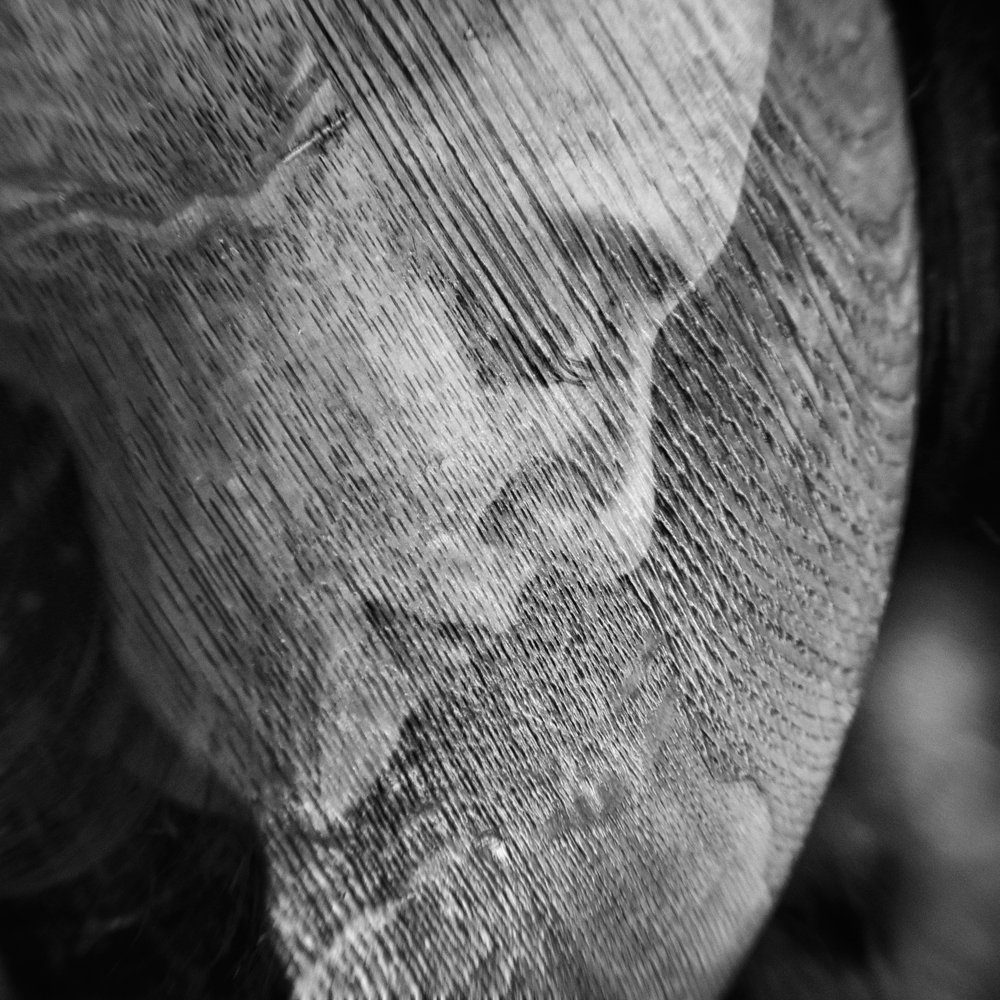 Photograph by Iulian Buzdugan