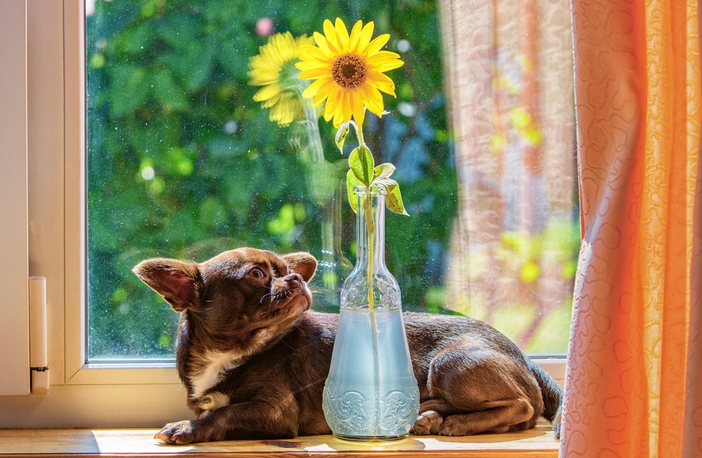 Photograph by Демьян Лопатов