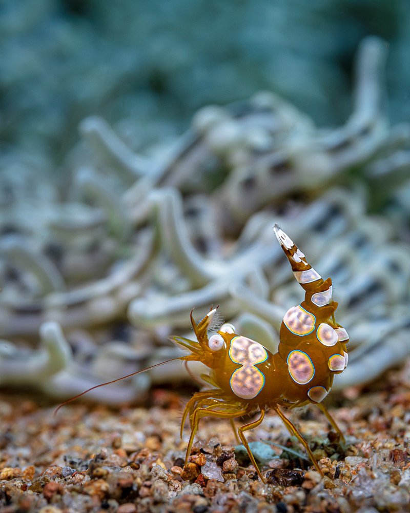 Photograph by Андрей Савин